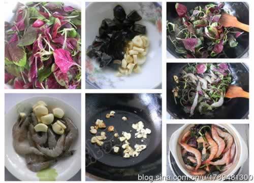 ��ϺƤ���Ȳ��ҵ�����