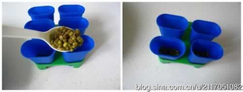 �����̶�����������