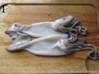 ��ʽ���������������