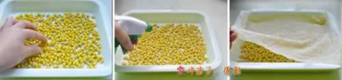 手工自发健康有根黄豆芽的做法