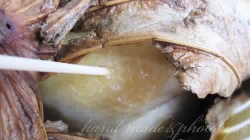 �����Οh��������