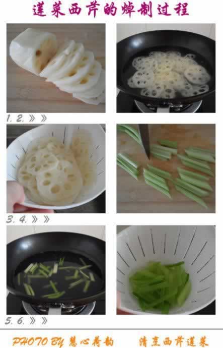 �����������۵�����