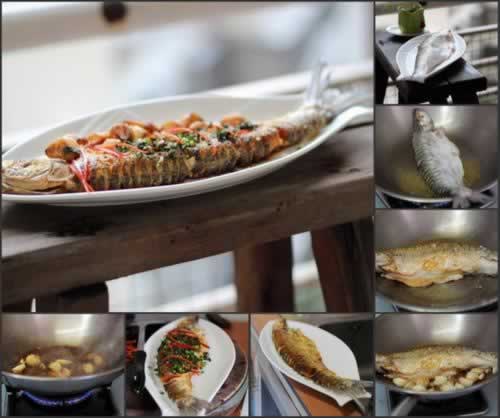 ��֭���Ե����������