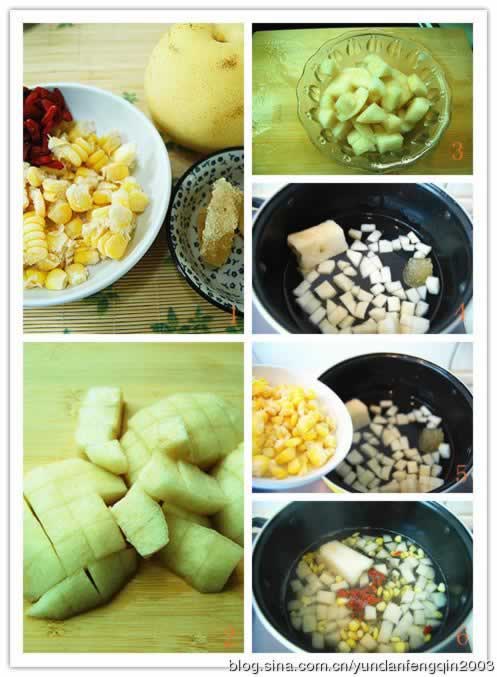 ����ѩ����������