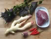 �ӽ����ճ�ţ�������