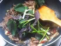 �ӽ����ճ�ţ�������