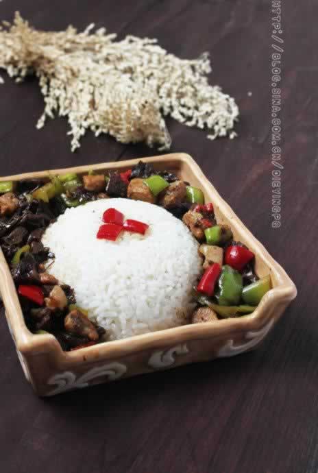 ��Ģ�Ƿ�������