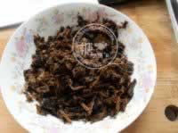 ÷������ϵ�����