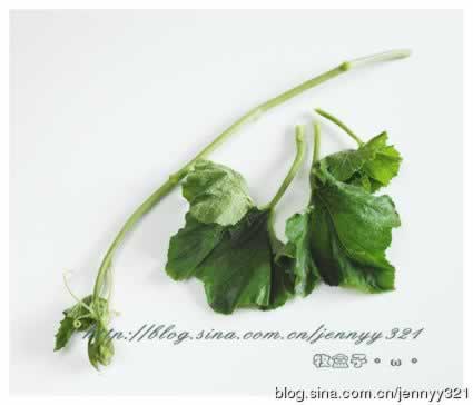 ���س��Ϲ��������