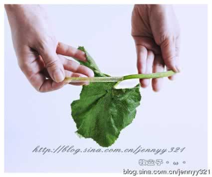 ���س��Ϲ��������