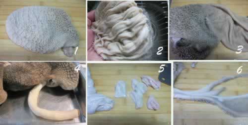 北京爆肚的做法