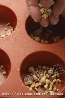 ��Ħ�����±�������