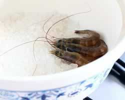 ����ο�Ϻ������