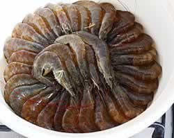 ����ο�Ϻ������