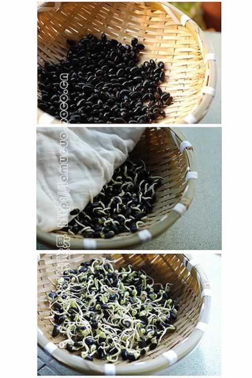 ���ƻ������㶹ѿ��������