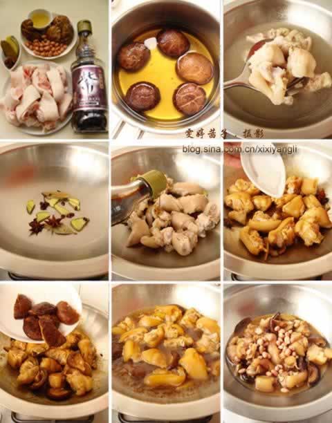 �㹽���������ŵ�����