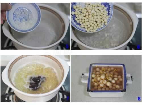 ����ʵ��������