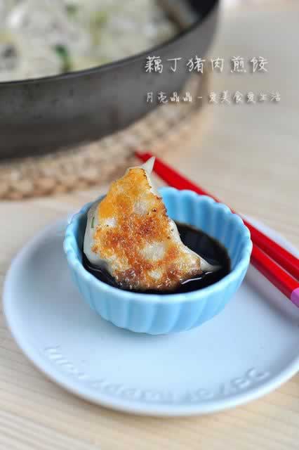 ź�������ȵ�����