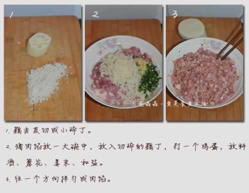 ź�������ȵ�����