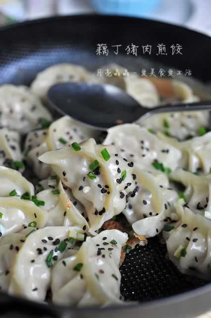 ź�������ȵ�����