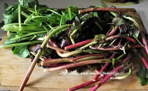 ±ζĢ���߲��������