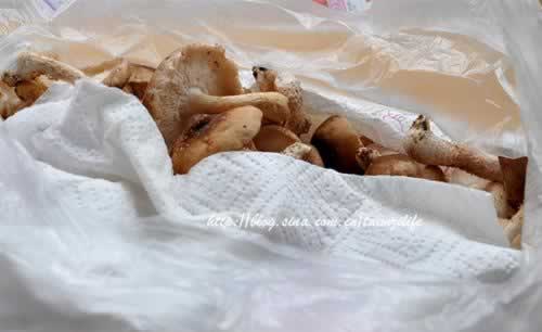 ±ζĢ���߲��������