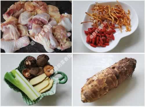 Ӽ�����ͷ����������