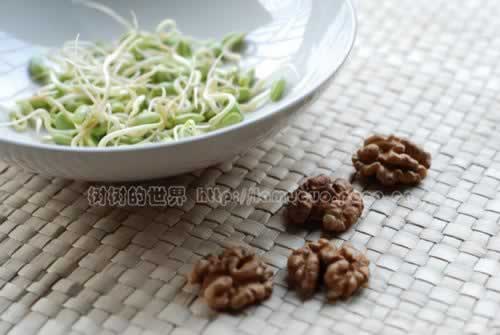 �ڶ�ѿ������������