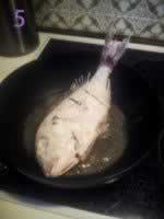 �ʹ���֭���������