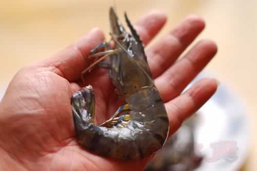 ���г��Ž�Ϻ������