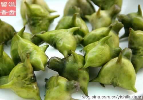 ���������Ź���������