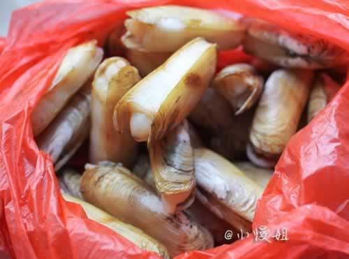 �������������ӵ�����