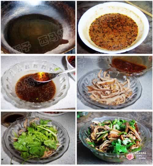 ���Ͷ�˿������