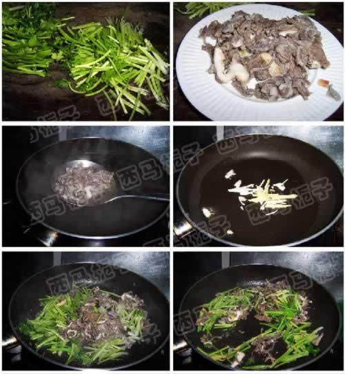 ܾ����Ҷ������