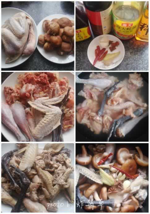 �㹽����������