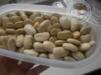 Ĩ����˼�±�������