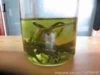 ��ձ�Ƥ�Ϲ��±�������