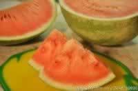 ����ɳ��������