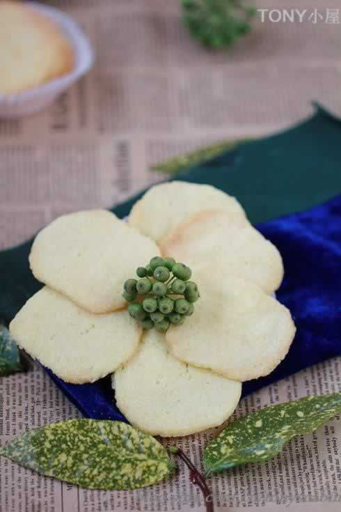 &ldquo;��Ƭ&rdquo;���ɵ�����