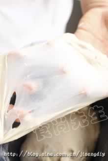 ��ݮ�������������