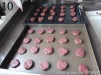 ����ɿ������������