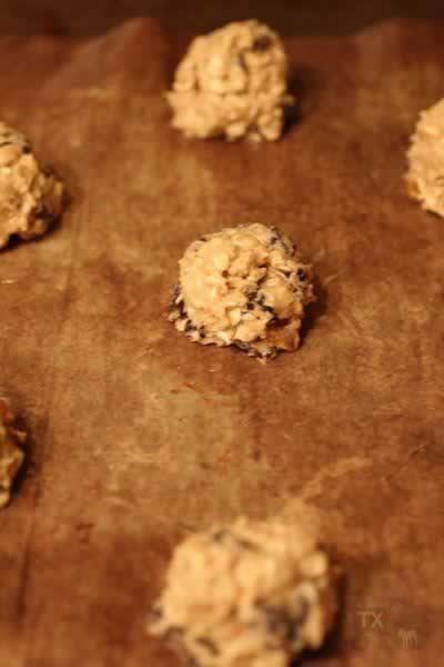 ��۹���������ɵ�����