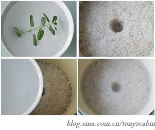 ��������������