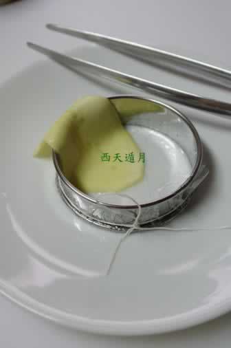 ��յ��֦��¶������