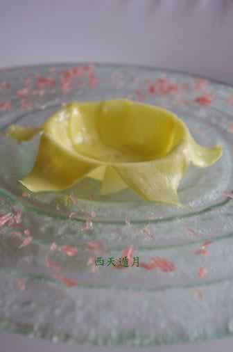 ��յ��֦��¶������