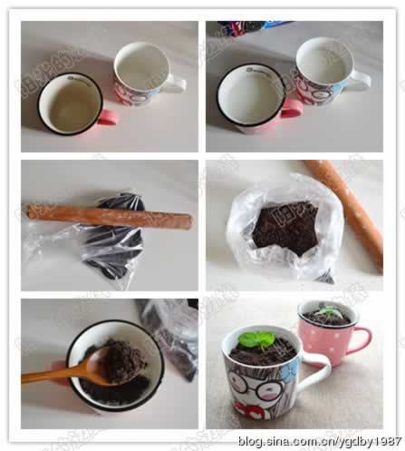 ����Ҭ�̶�������