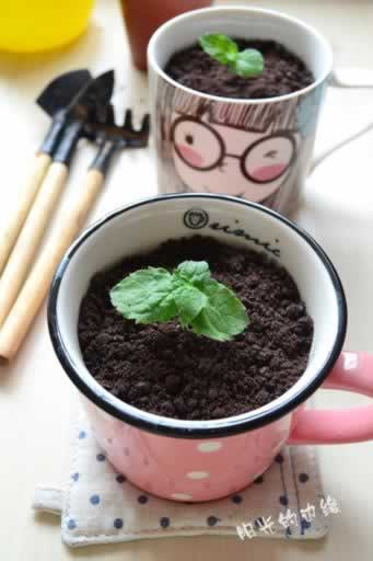 ����Ҭ�̶�������