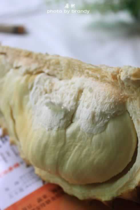 ����Ŵ���ٵ�����