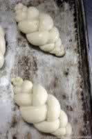 ��򵥵����������ڸ���������ݮ���������