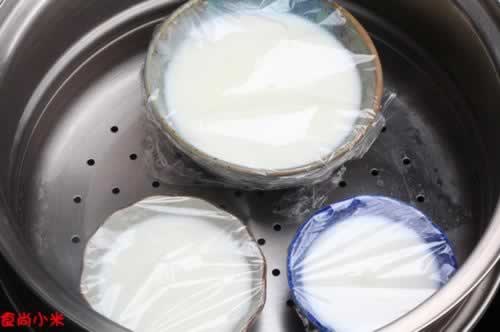 自己在家DIY放心奶酪的做法